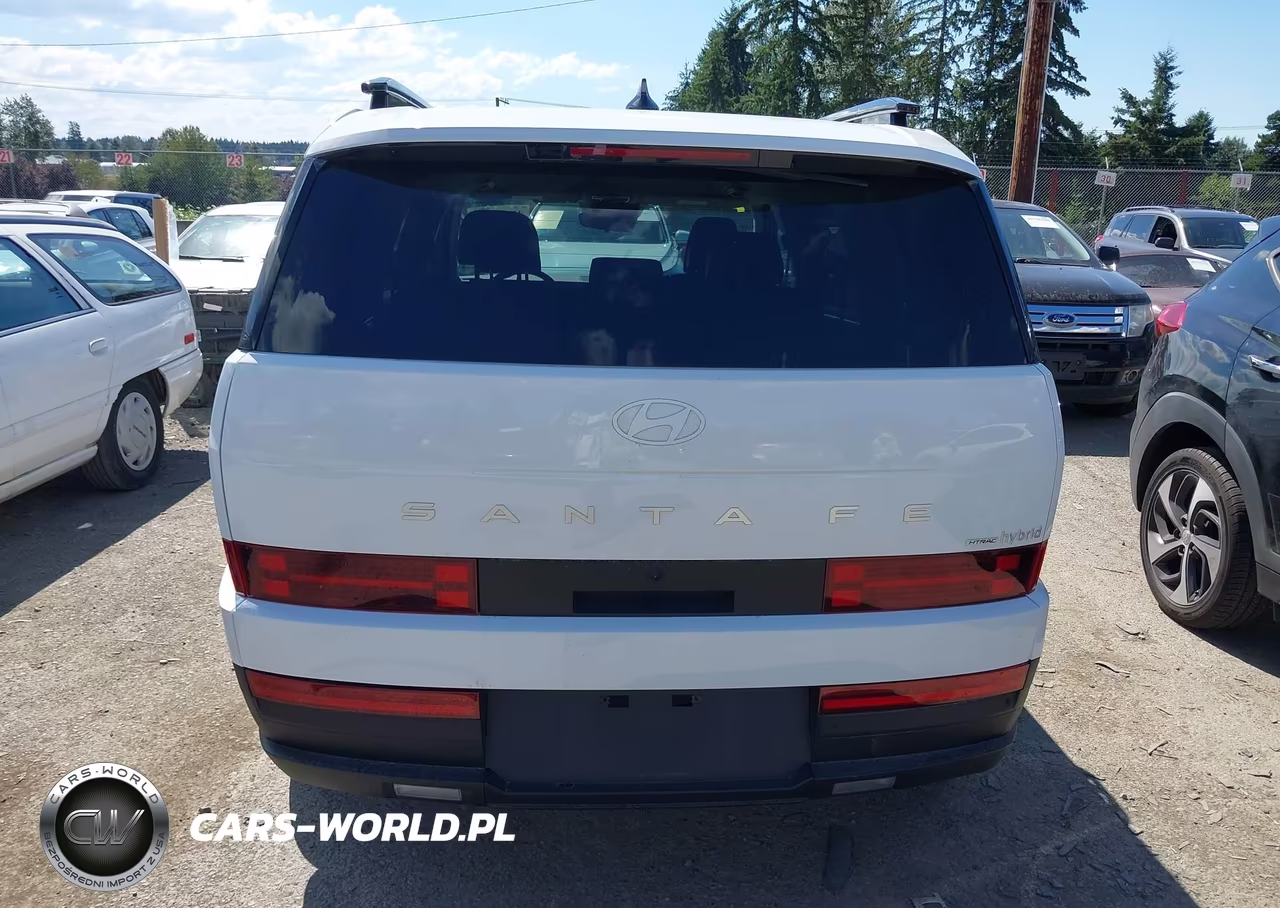 2025 Hyundai Santa Fe Hybrid Sel VIN:5NMP2DG13SH029087 - 17