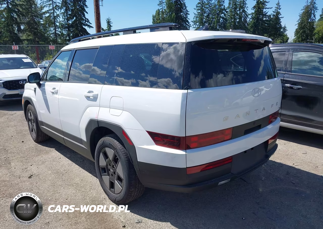 2025 Hyundai Santa Fe Hybrid Sel VIN:5NMP2DG13SH029087 - 3