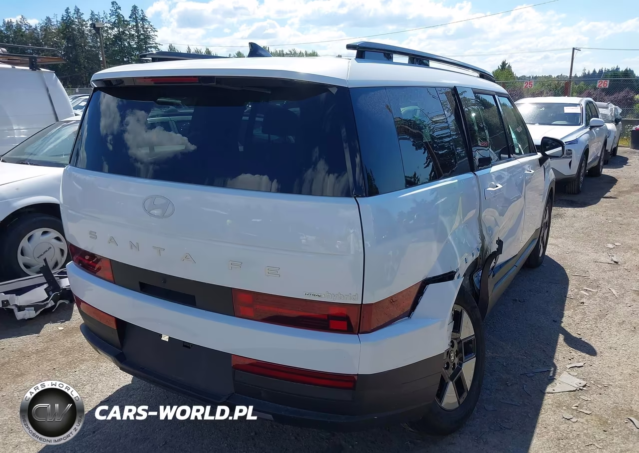 2025 Hyundai Santa Fe Hybrid Sel VIN:5NMP2DG13SH029087 - 4