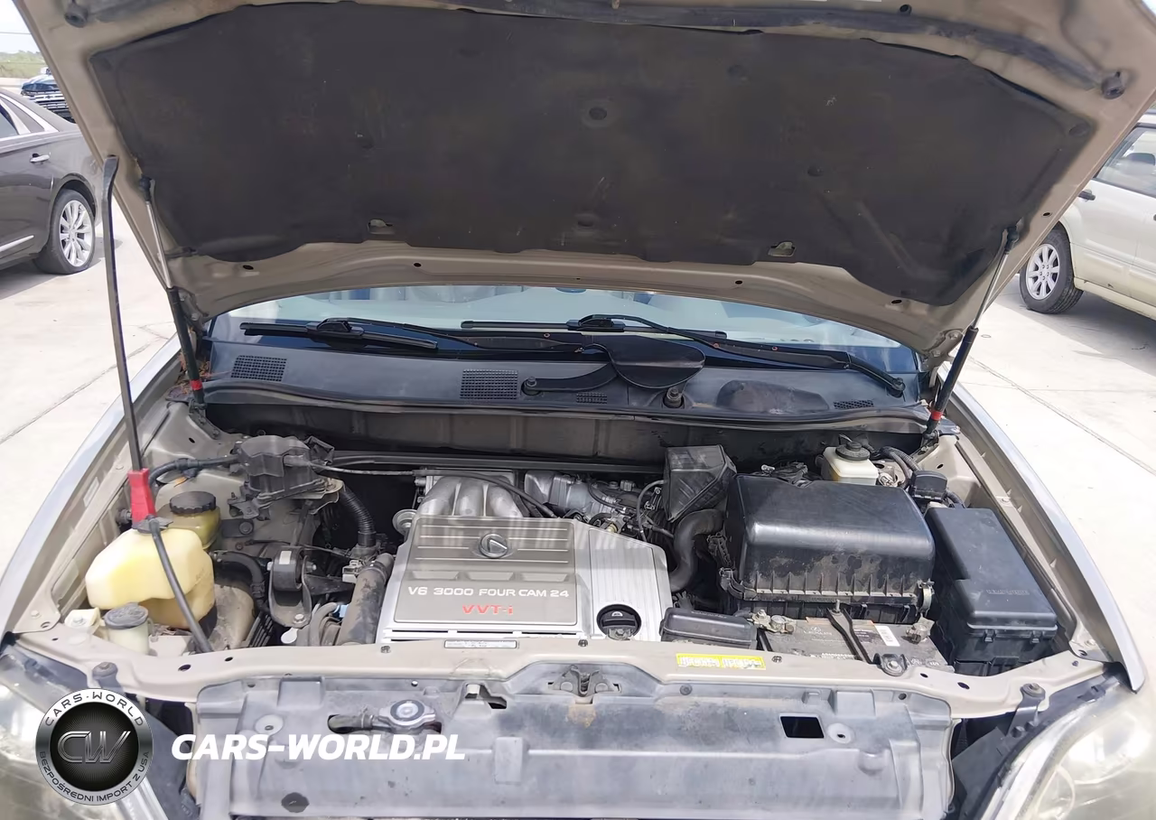 2000 Lexus Rx 300 VIN:JT6GF10U0Y0081607 - 10
