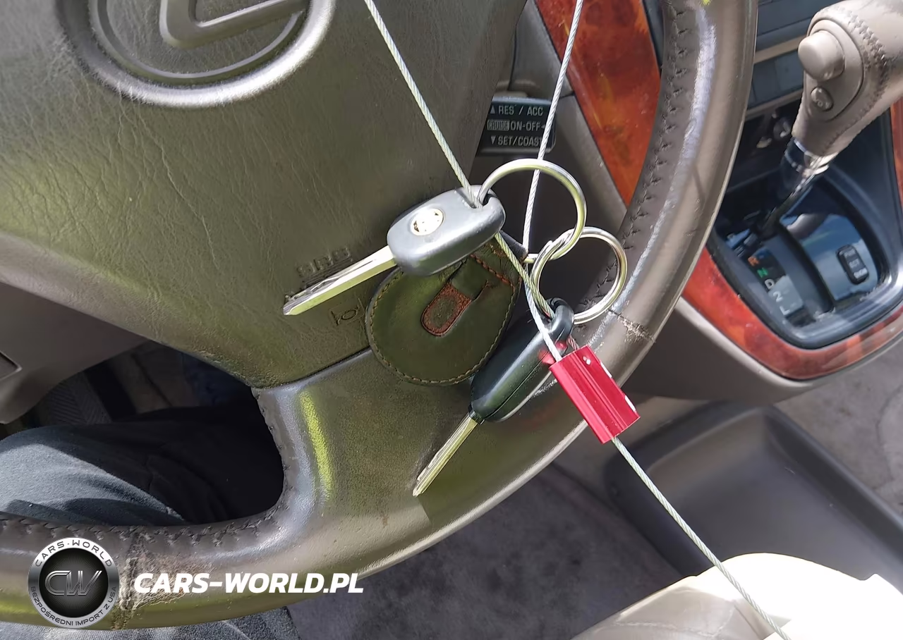 2000 Lexus Rx 300 VIN:JT6GF10U0Y0081607 - 11