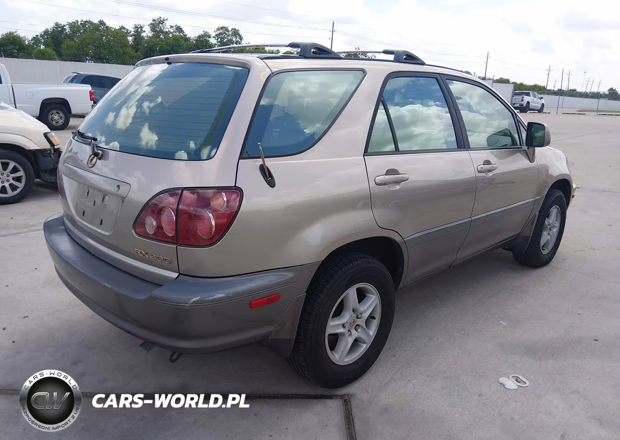 2000 Lexus Rx 300 VIN:JT6GF10U0Y0081607 - 4