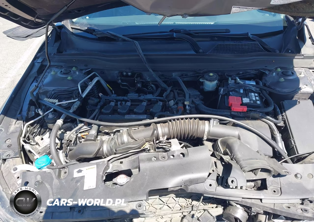 2019 Honda Accord Lx VIN:1HGCV1F10KA136003 - 10