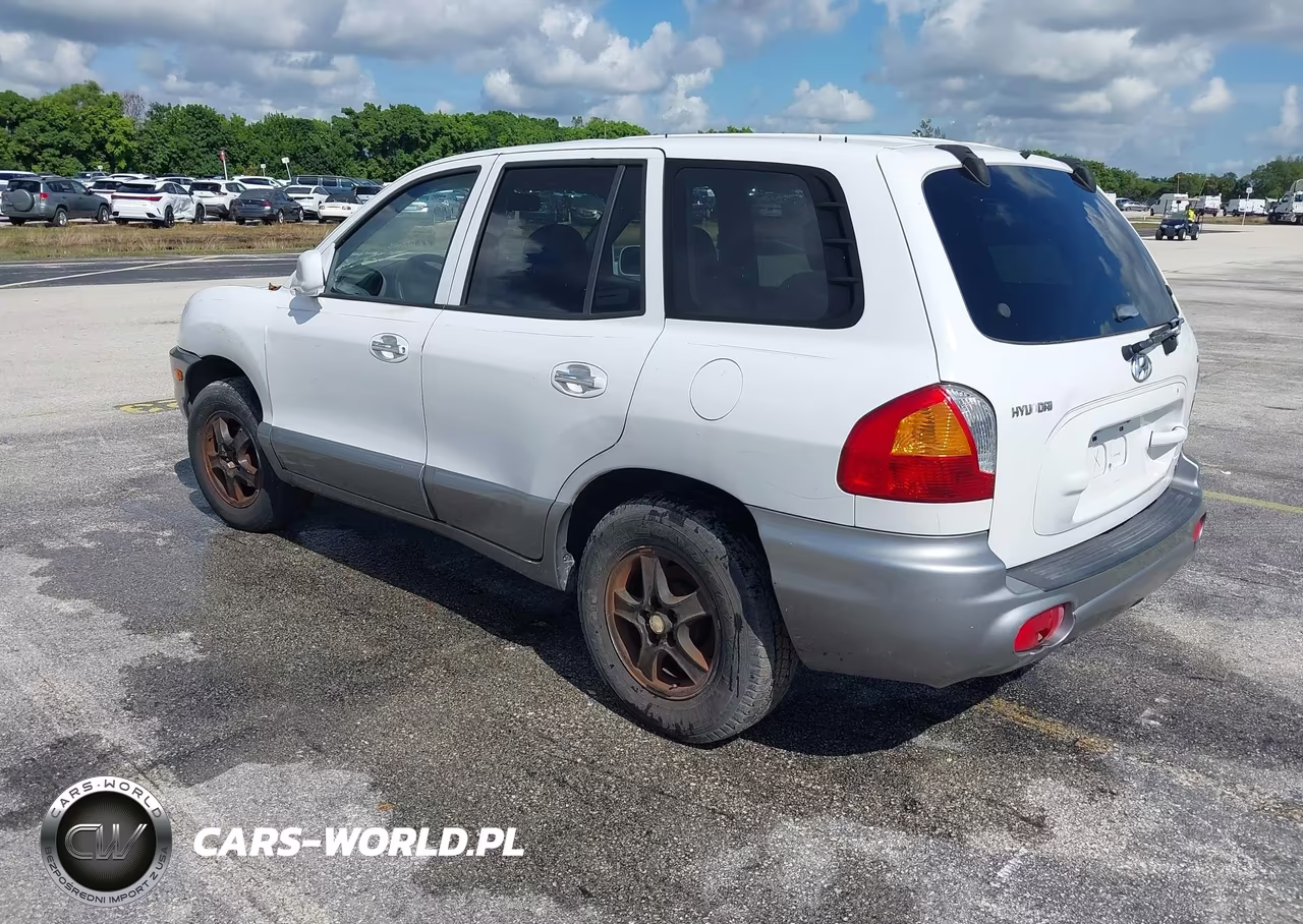 2001 Hyundai Santa Fe VIN:KM8SC83D41U111346 - 3