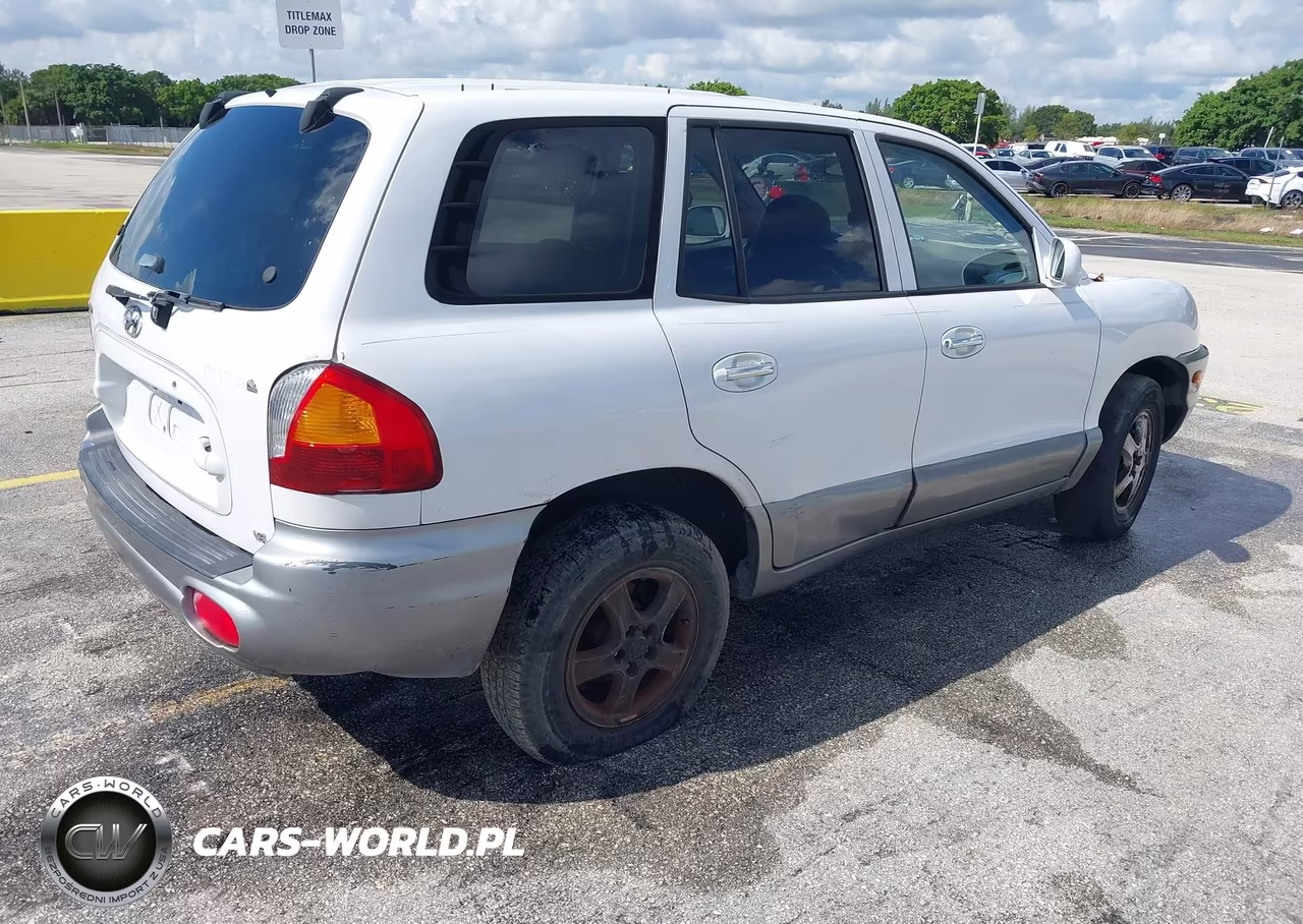 2001 Hyundai Santa Fe VIN:KM8SC83D41U111346 - 4