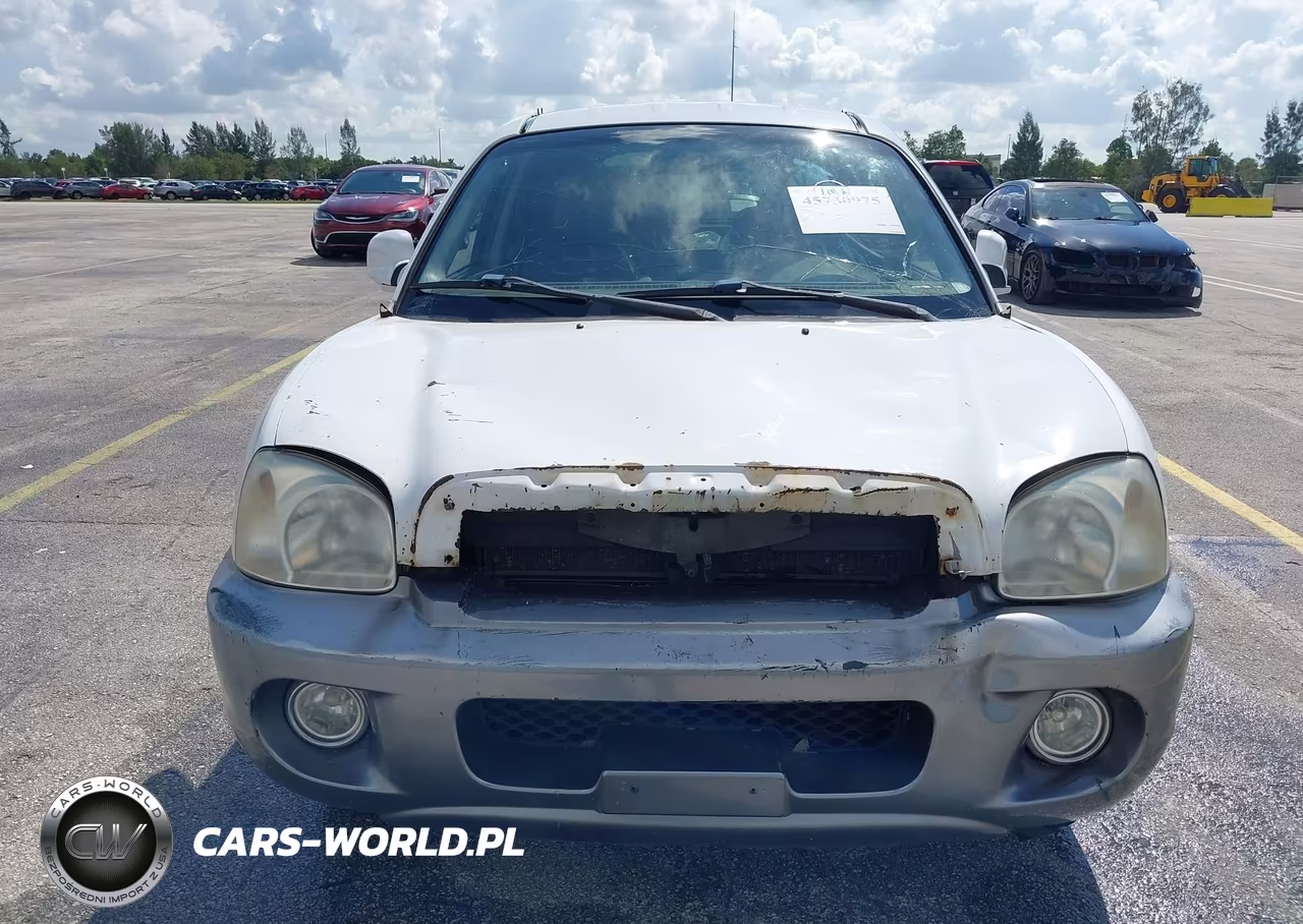 2001 Hyundai Santa Fe VIN:KM8SC83D41U111346 - 6
