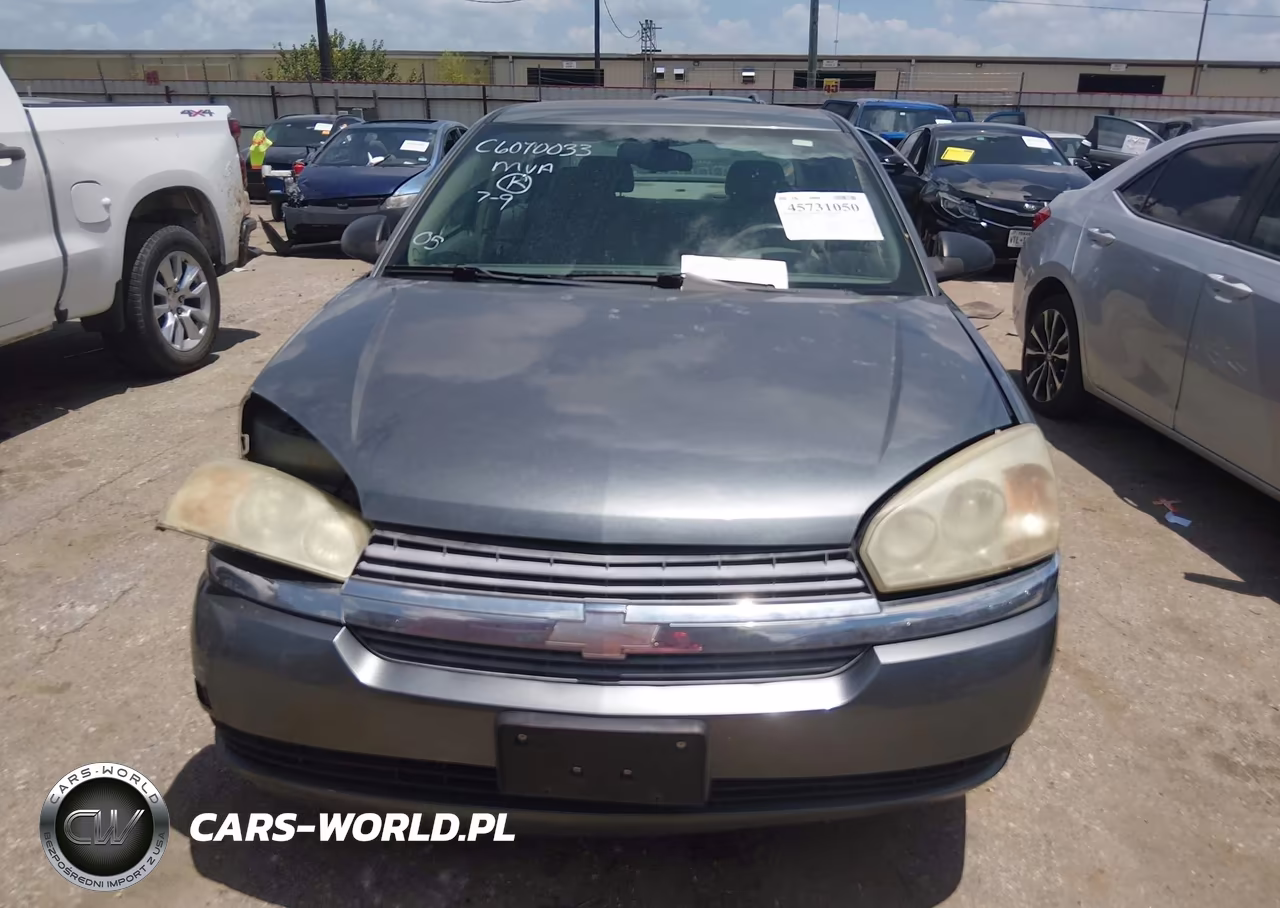 2005 Chevrolet Malibu Ls VIN:1G1ZT54875F123173 - 12