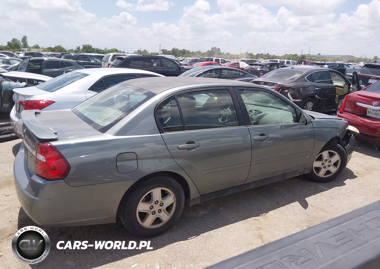 2005 Chevrolet Malibu Ls VIN:1G1ZT54875F123173 - 13