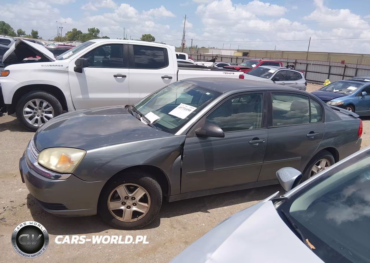 2005 Chevrolet Malibu Ls VIN:1G1ZT54875F123173 - 14