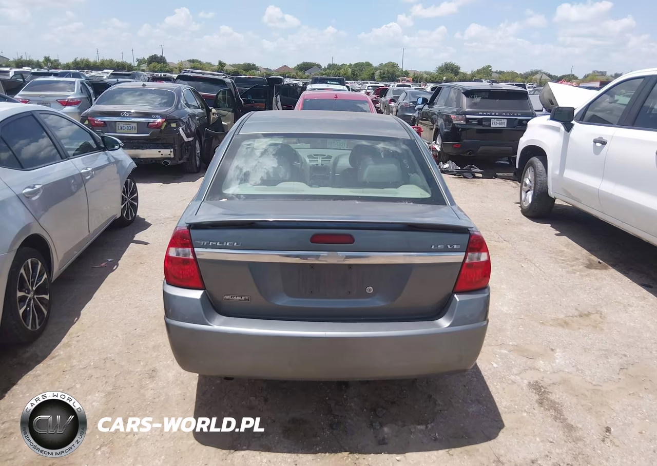 2005 Chevrolet Malibu Ls VIN:1G1ZT54875F123173 - 16