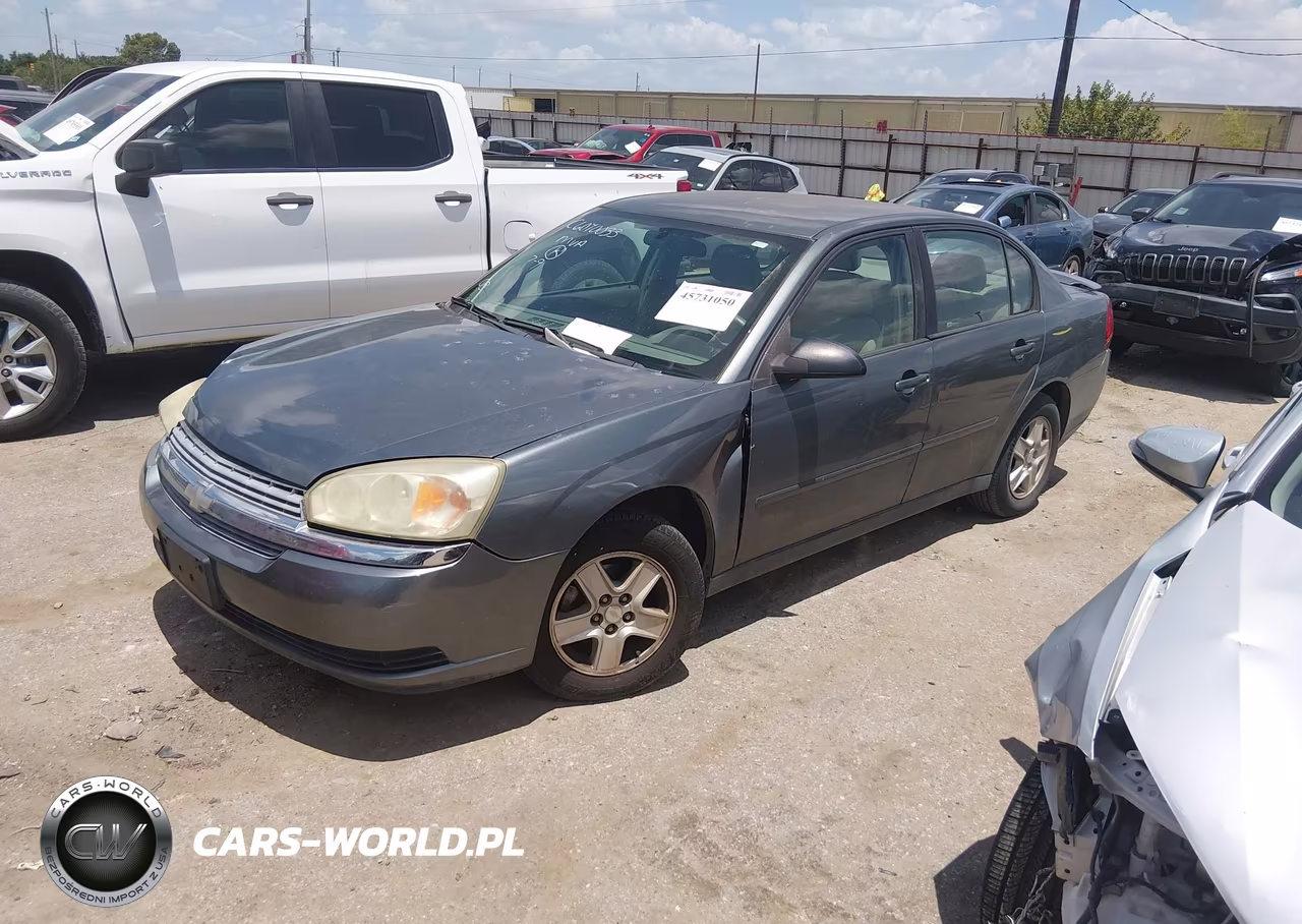2005 Chevrolet Malibu Ls VIN:1G1ZT54875F123173 - 2