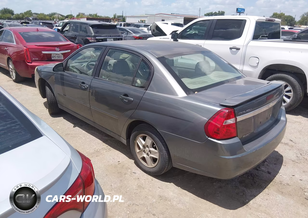 2005 Chevrolet Malibu Ls VIN:1G1ZT54875F123173 - 3