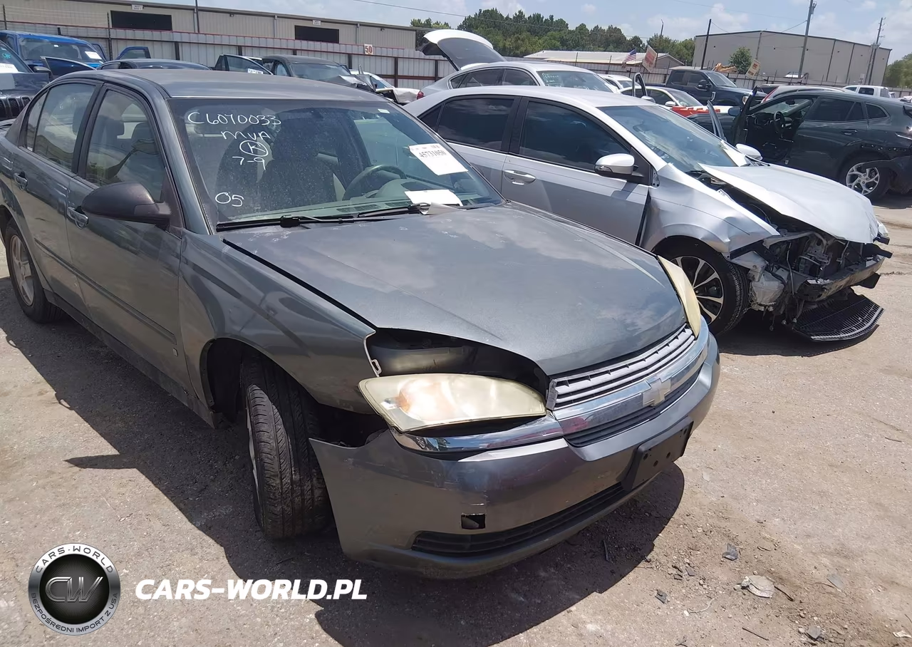 2005 Chevrolet Malibu Ls VIN:1G1ZT54875F123173 - 6