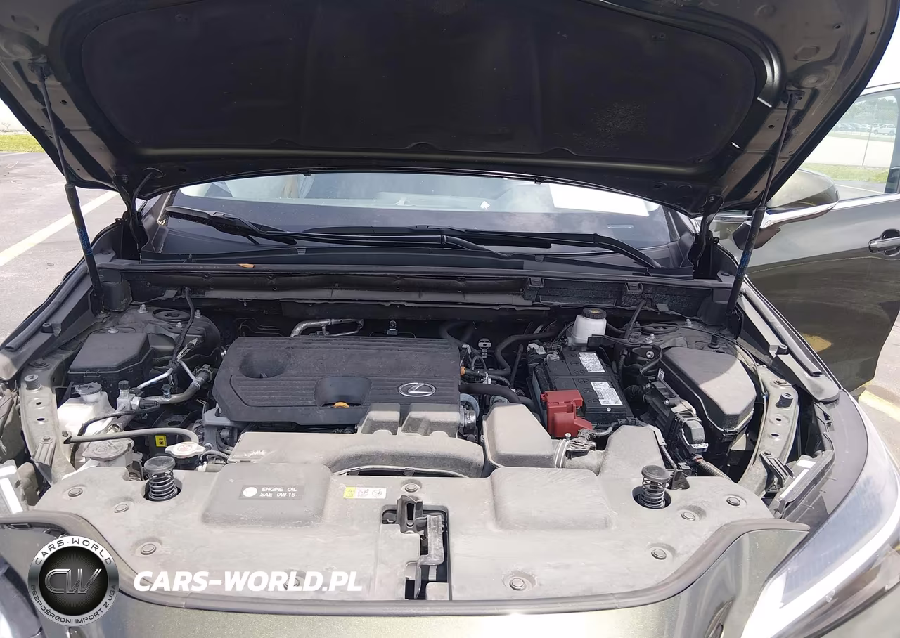 2025 Lexus Nx 250 VIN:2T2ADCAZ4SC019677 - 10