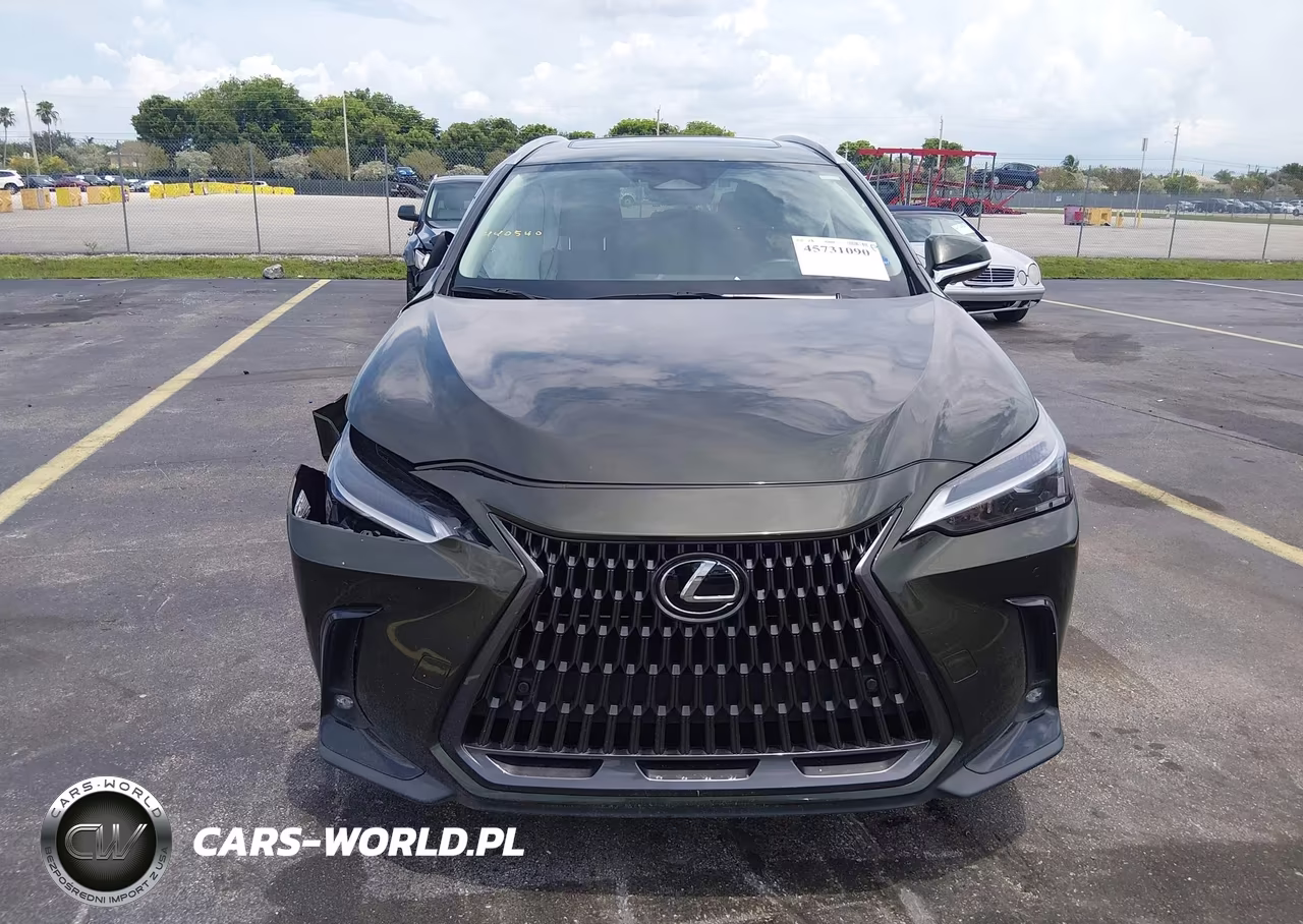2025 Lexus Nx 250 VIN:2T2ADCAZ4SC019677 - 12