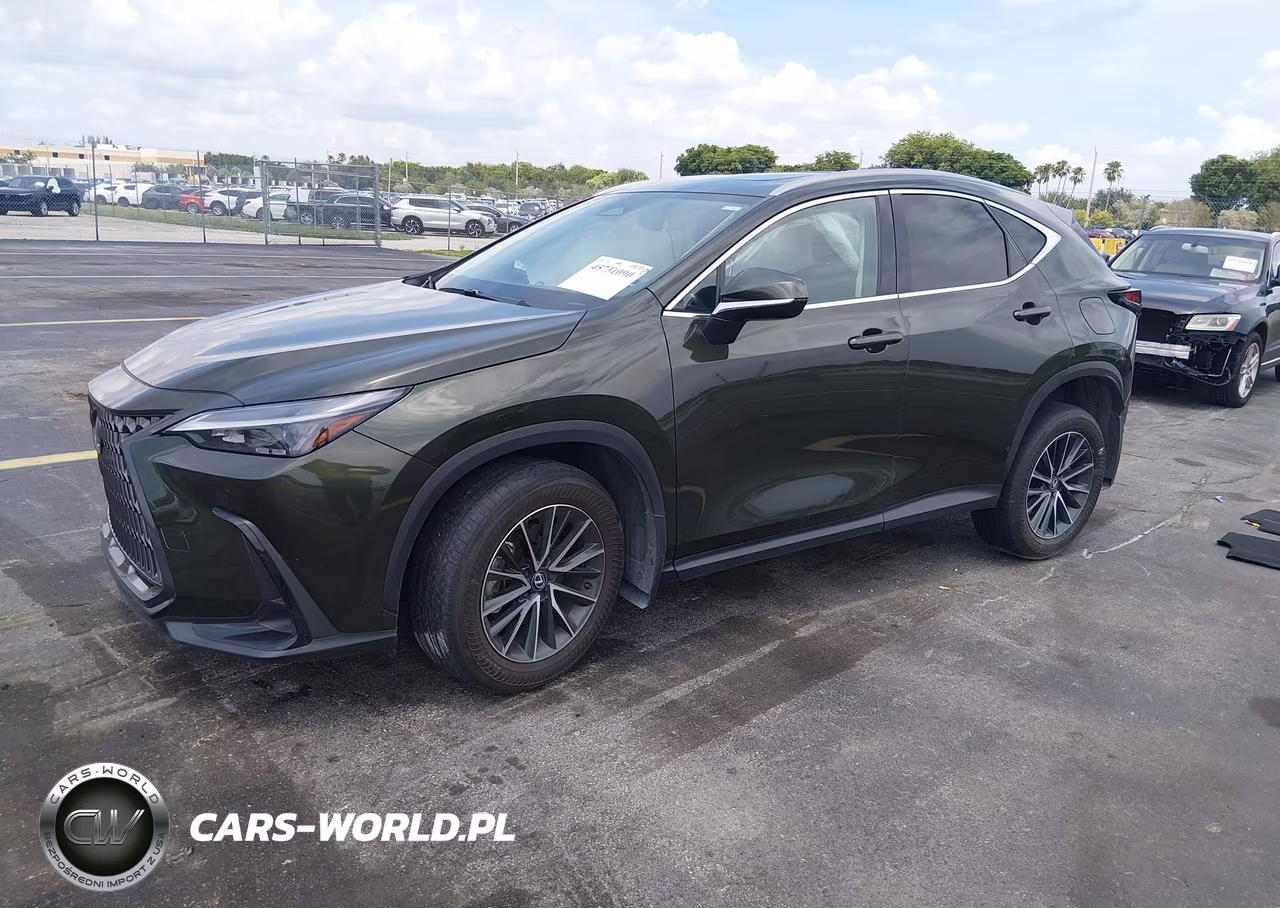 2025 Lexus Nx 250 VIN:2T2ADCAZ4SC019677 - 2