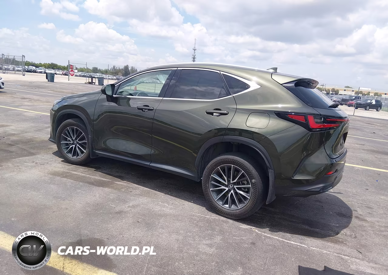 2025 Lexus Nx 250 VIN:2T2ADCAZ4SC019677 - 3