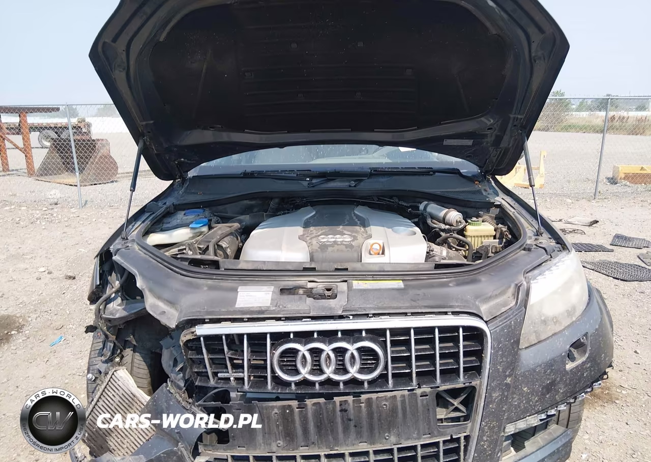 2013 Audi Q7 3.0 Tdi Premium VIN:WA1LMAFE3DD016132 - 10
