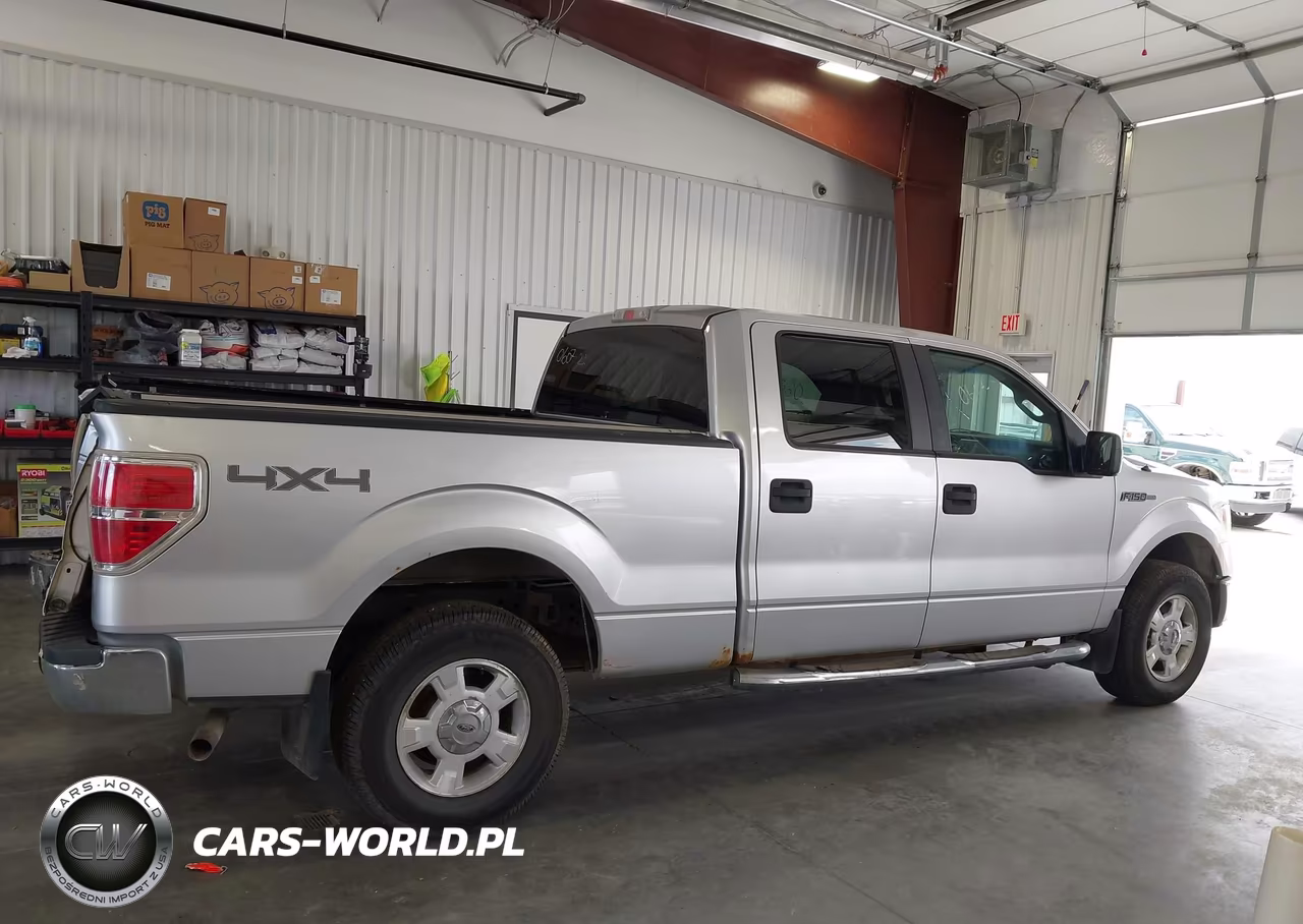 2010 Ford F-150 Fx4-Harley-Davidson-King Ranch-Lariat-Platinum-Xl-Xlt VIN:1FTFW1EV8AFC85399 - 13