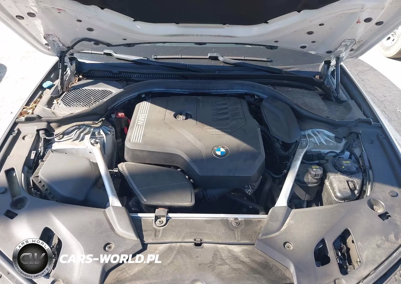 2020 BMW 530I VIN:WBAJR3C04LWW63545 - 10