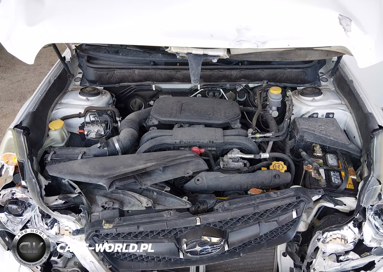 2010 Subaru Legacy 2.5I Premium VIN:4S3BMCC66A3241303 - 10