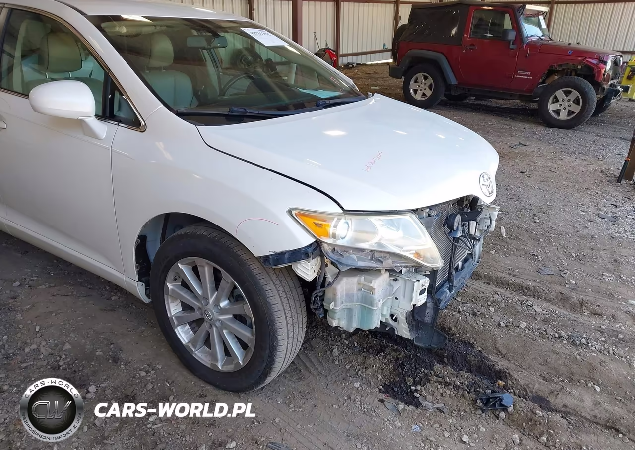 2009 Toyota Venza VIN:4T3ZE11A39U007281 - 14