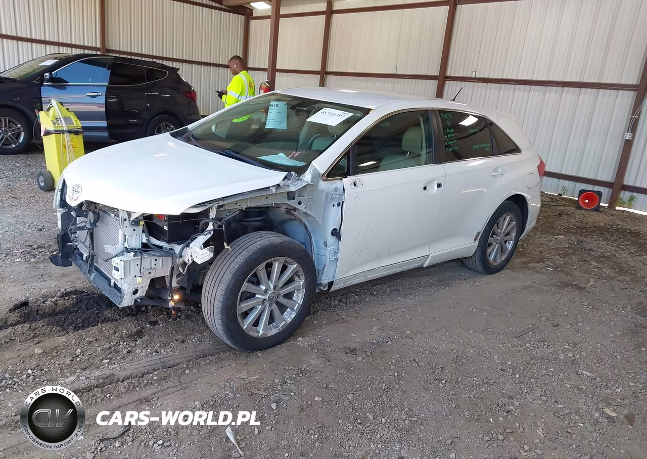 2009 Toyota Venza VIN:4T3ZE11A39U007281 - 2