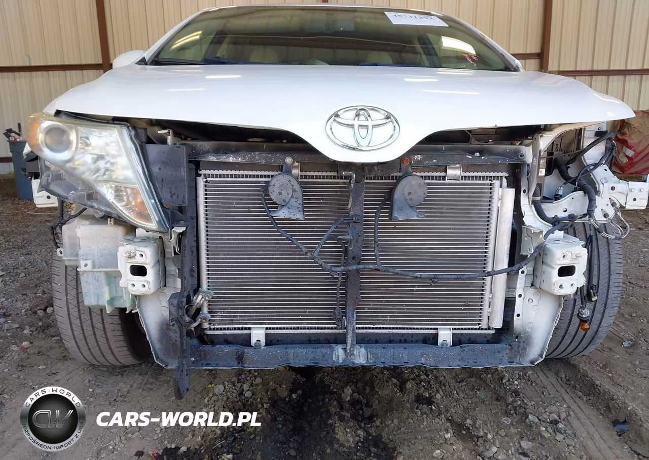 2009 Toyota Venza VIN:4T3ZE11A39U007281 - 6