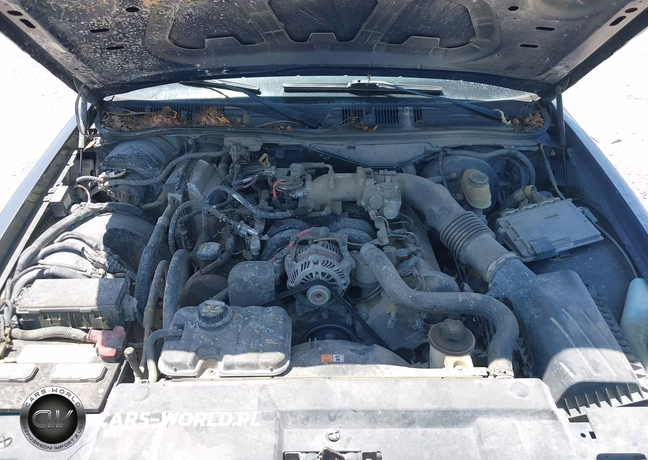 2009 Ford Crown Victoria Police-Police Interceptor VIN:2FAHP71V89X126564 - 10
