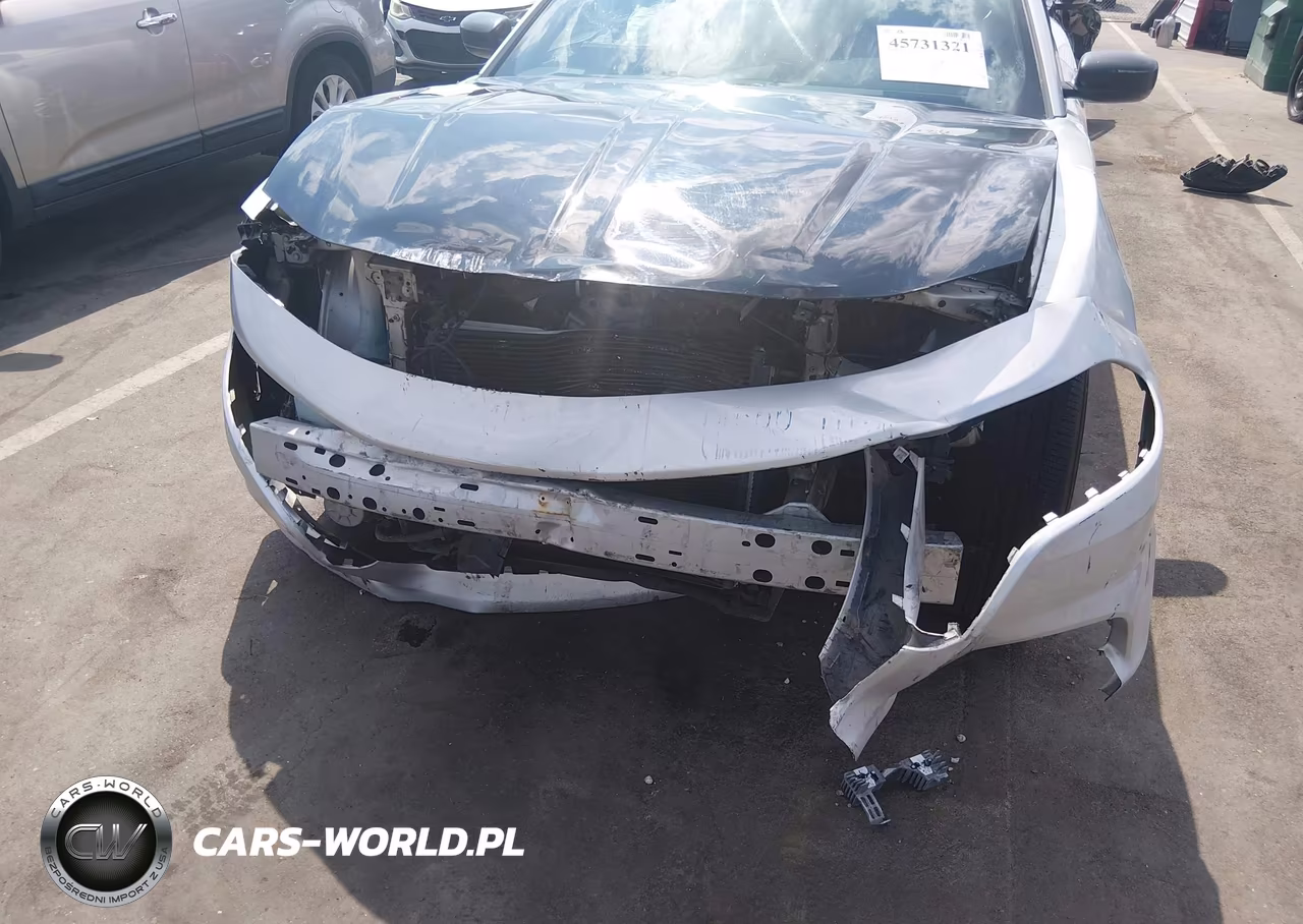 2015 Dodge Charger Police VIN:2C3CDXKT6FH903246 - 6