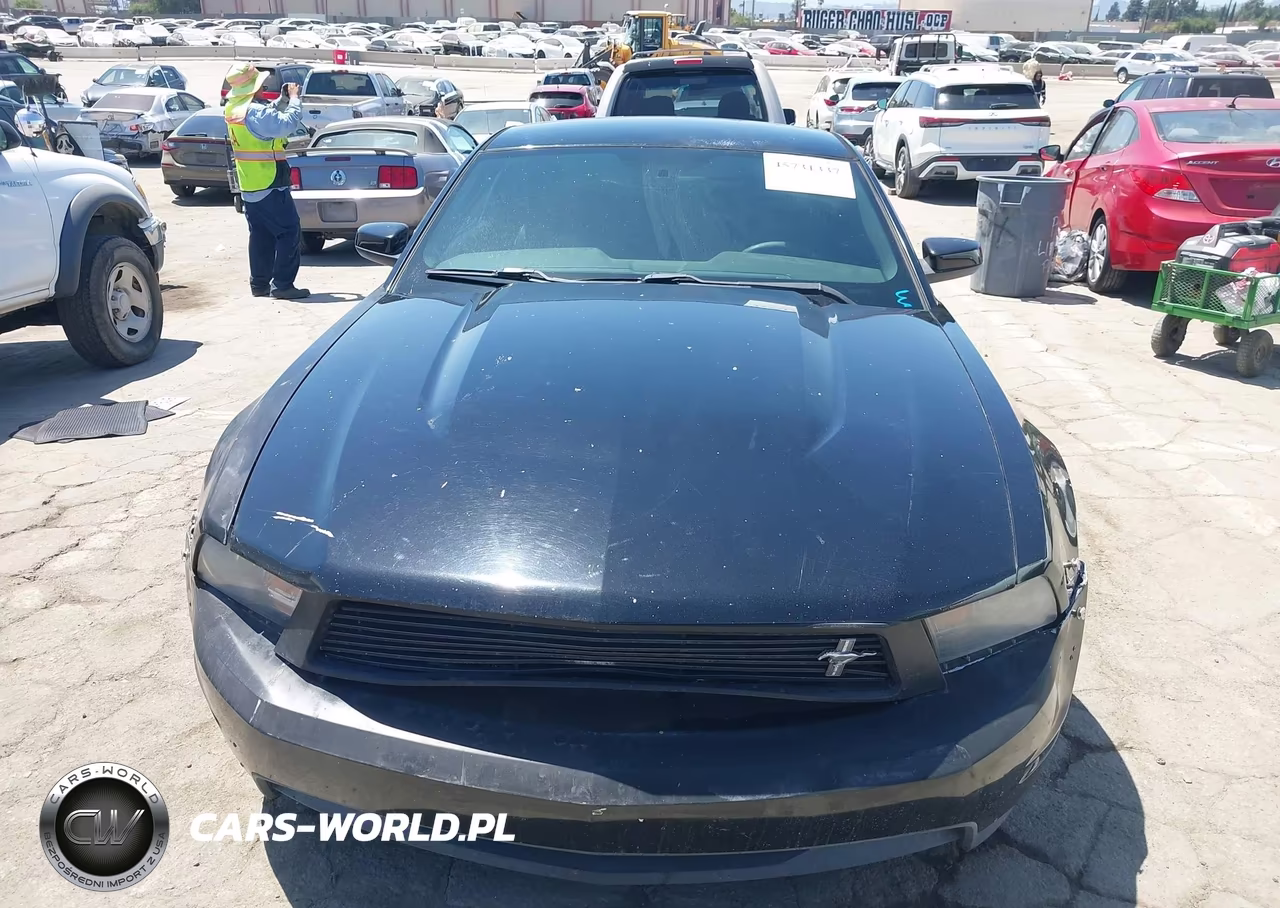 2010 Ford Mustang Gt-Gt Premium VIN:1ZVBP8CH3A5160931 - 12