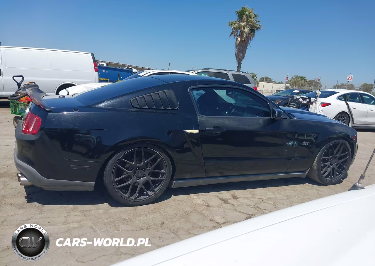 2010 Ford Mustang Gt-Gt Premium VIN:1ZVBP8CH3A5160931 - 13