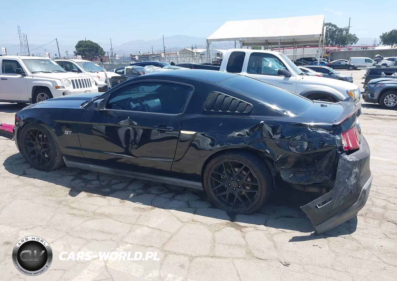 2010 Ford Mustang Gt-Gt Premium VIN:1ZVBP8CH3A5160931 - 14