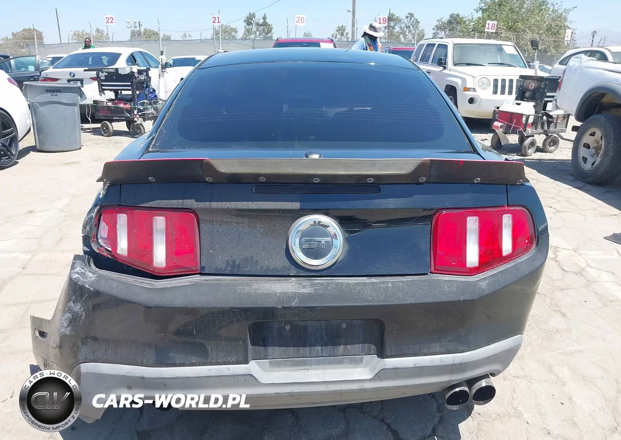2010 Ford Mustang Gt-Gt Premium VIN:1ZVBP8CH3A5160931 - 16