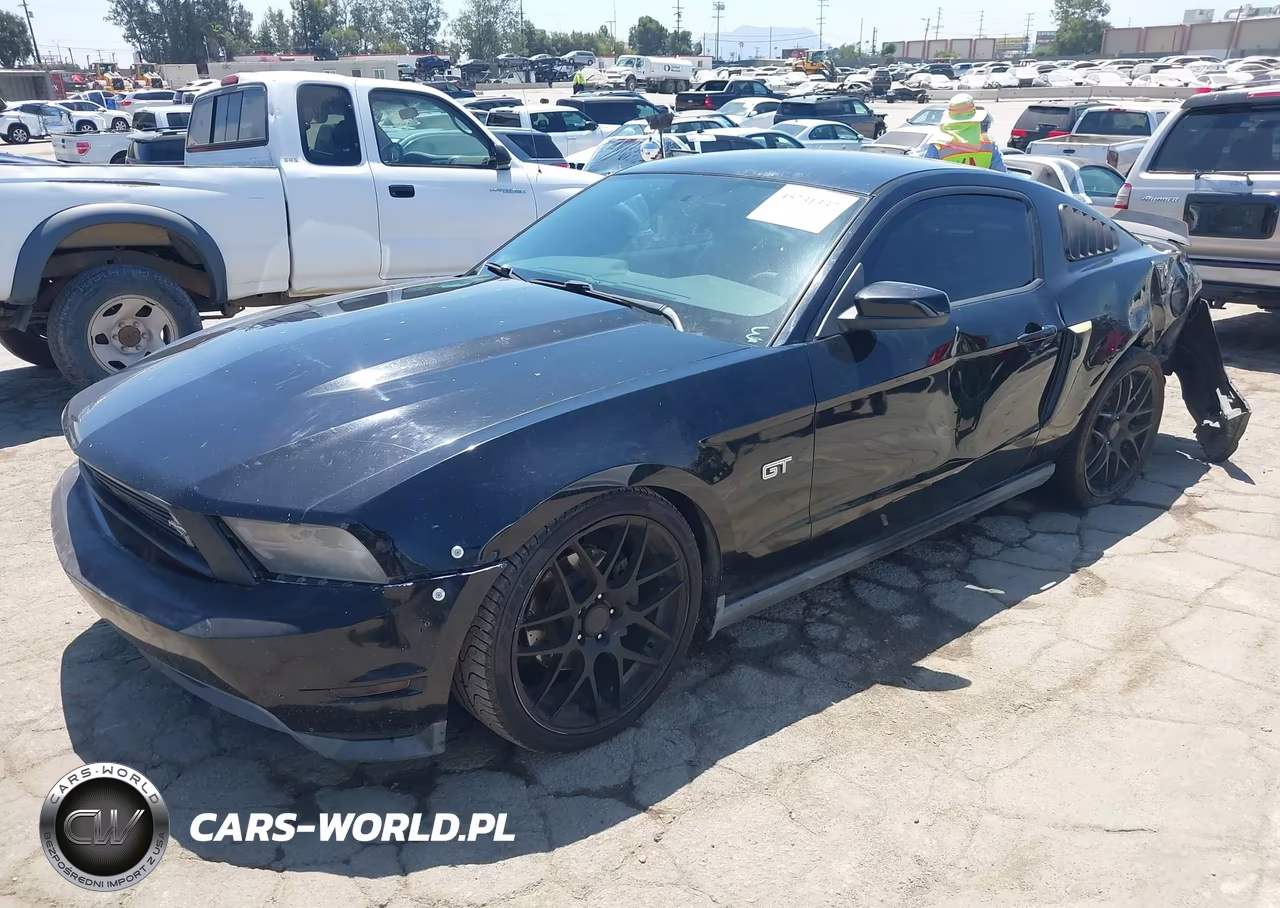 2010 Ford Mustang Gt-Gt Premium VIN:1ZVBP8CH3A5160931 - 2