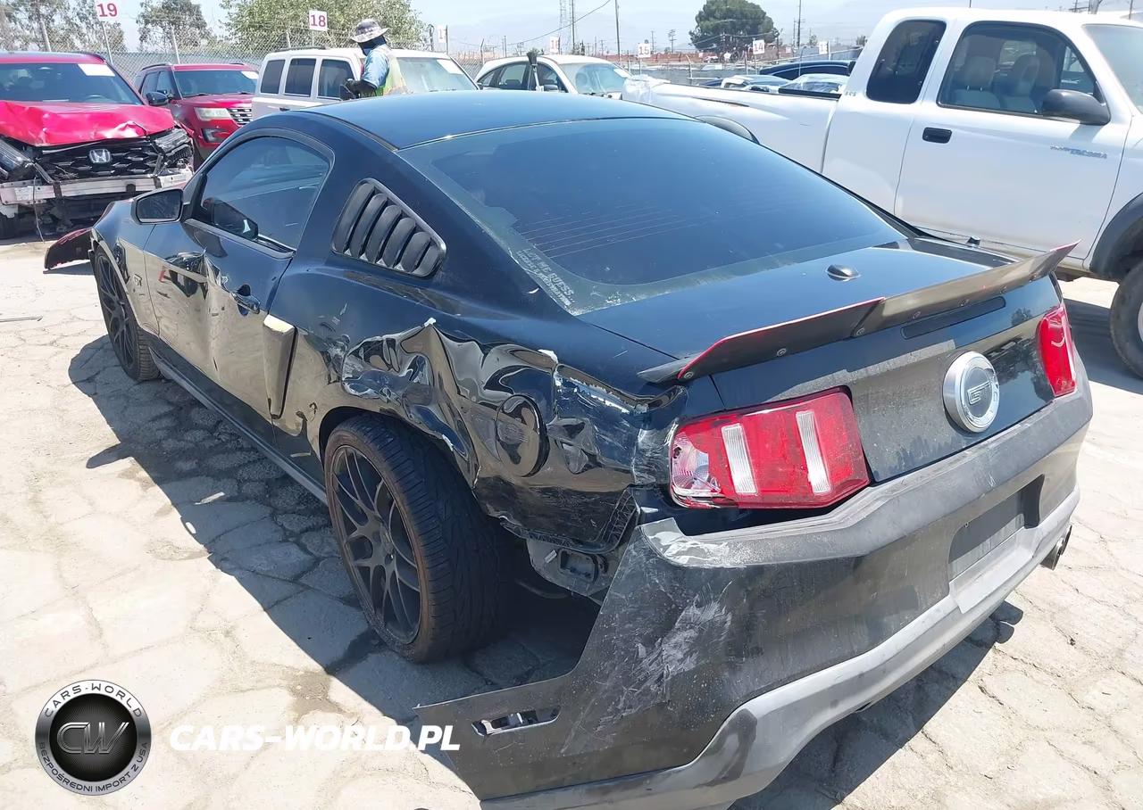 2010 Ford Mustang Gt-Gt Premium VIN:1ZVBP8CH3A5160931 - 3