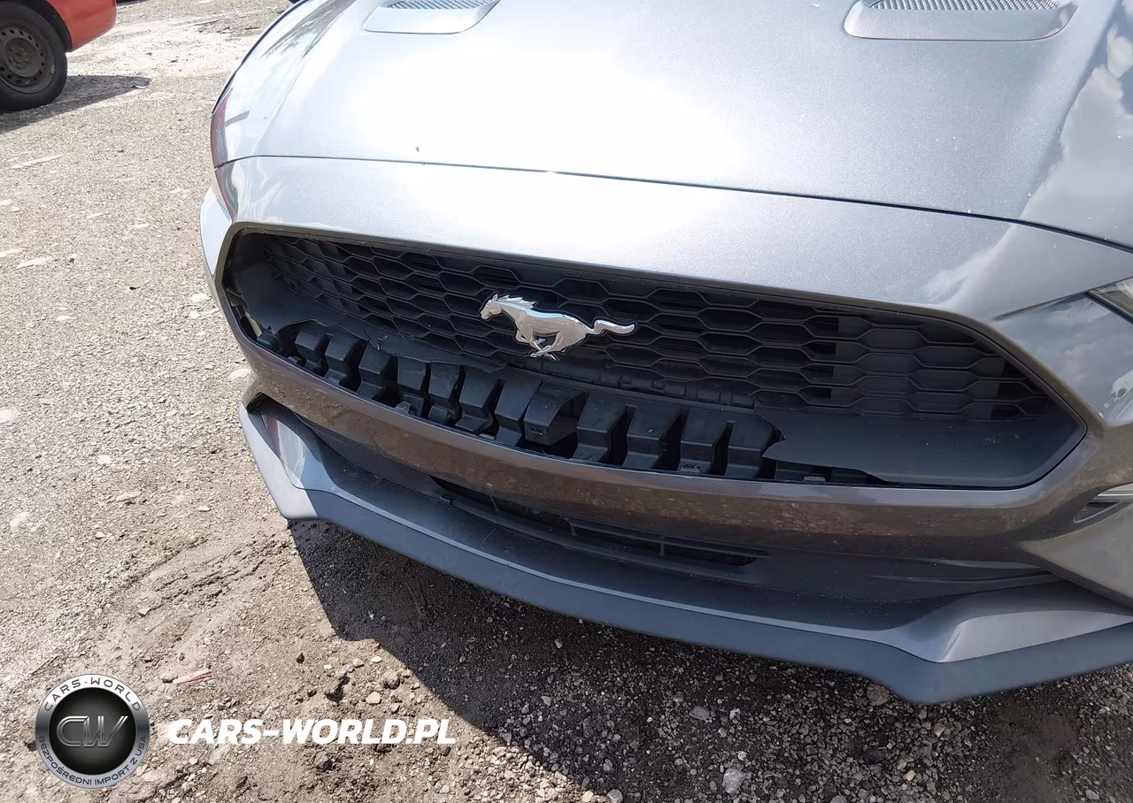 2018 Ford Mustang Ecoboost VIN:1FA6P8TH0J5106335 - 11