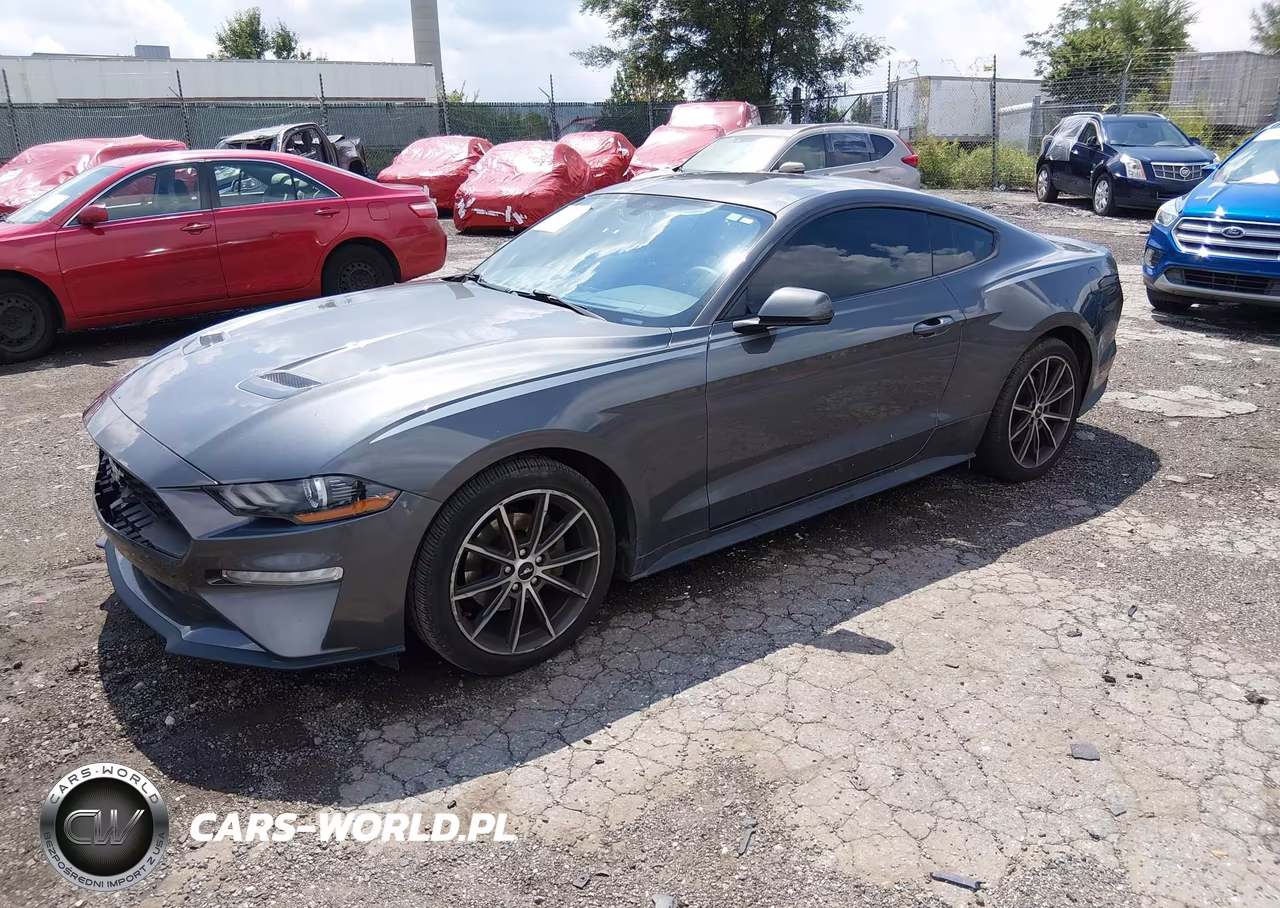 2018 Ford Mustang Ecoboost VIN:1FA6P8TH0J5106335 - 2