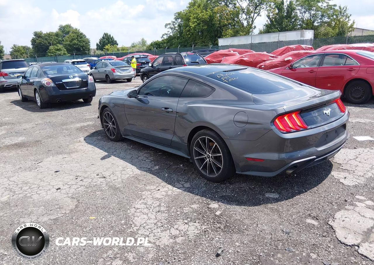 2018 Ford Mustang Ecoboost VIN:1FA6P8TH0J5106335 - 3