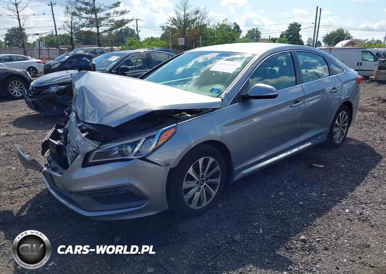 2016 Hyundai Sonata Sport VIN:5NPE34AFXGH282491 - 2