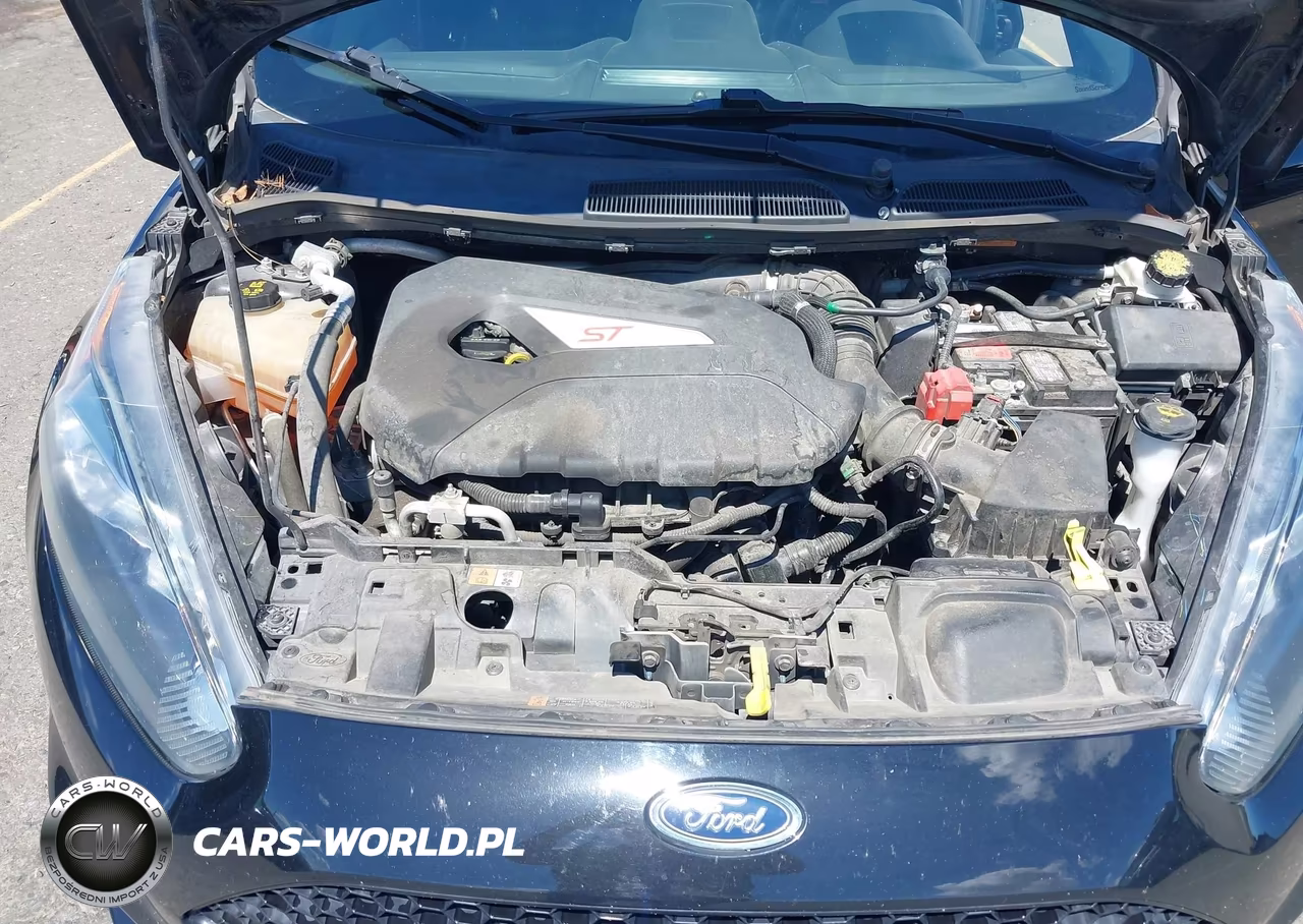 2017 Ford Fiesta St VIN:3FADP4GX0HM135291 - 10