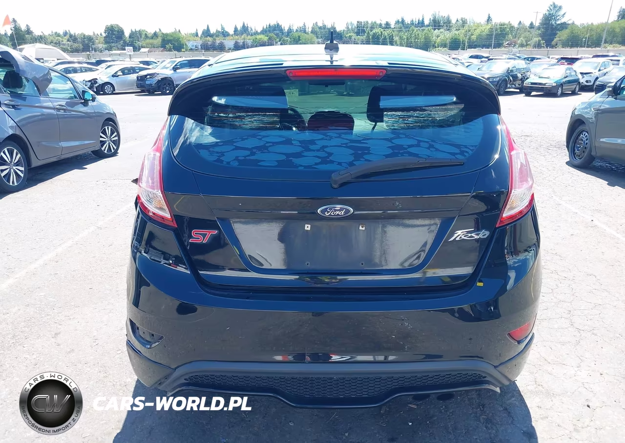 2017 Ford Fiesta St VIN:3FADP4GX0HM135291 - 16
