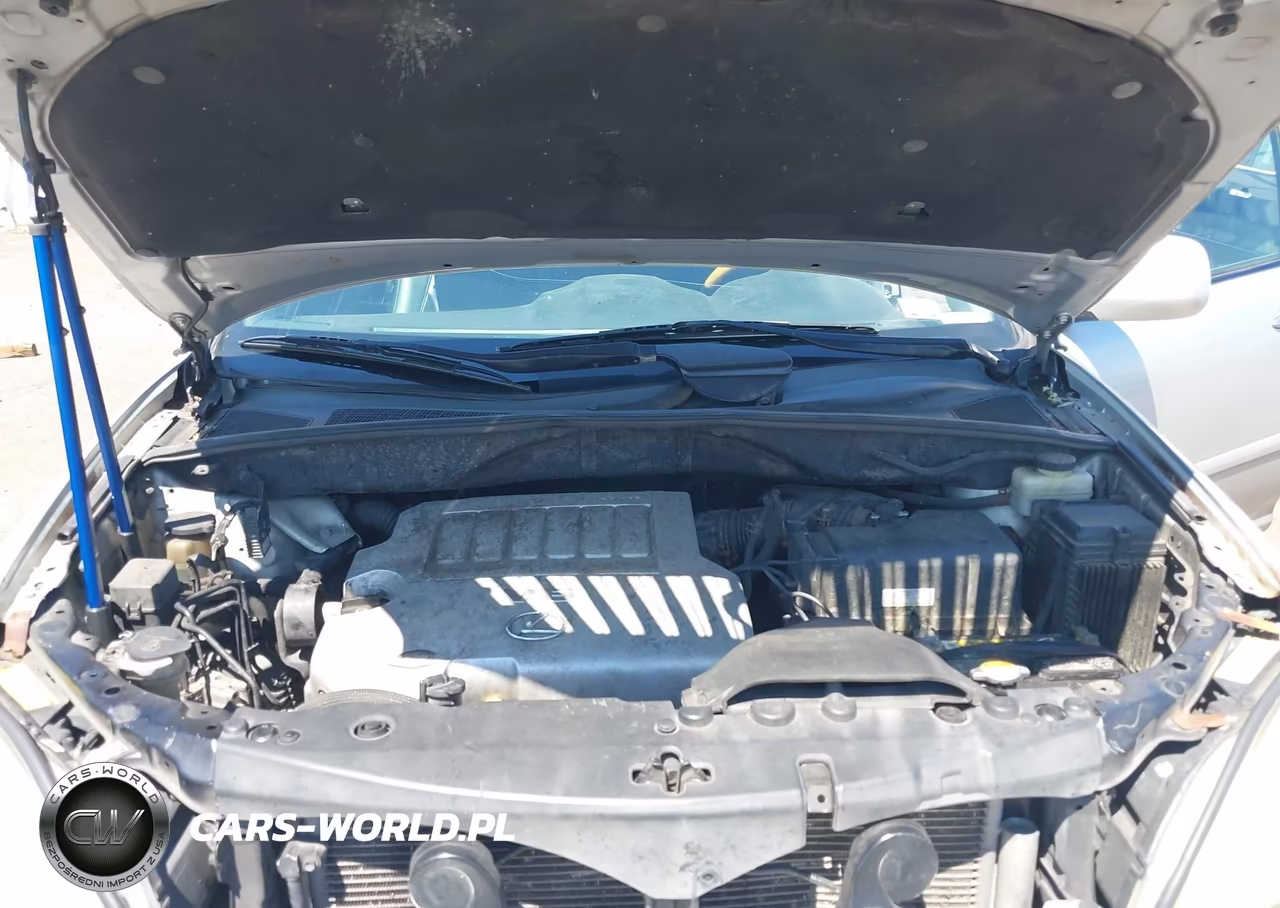 2008 Lexus Rx 350 VIN:2T2HK31U58C077489 - 10