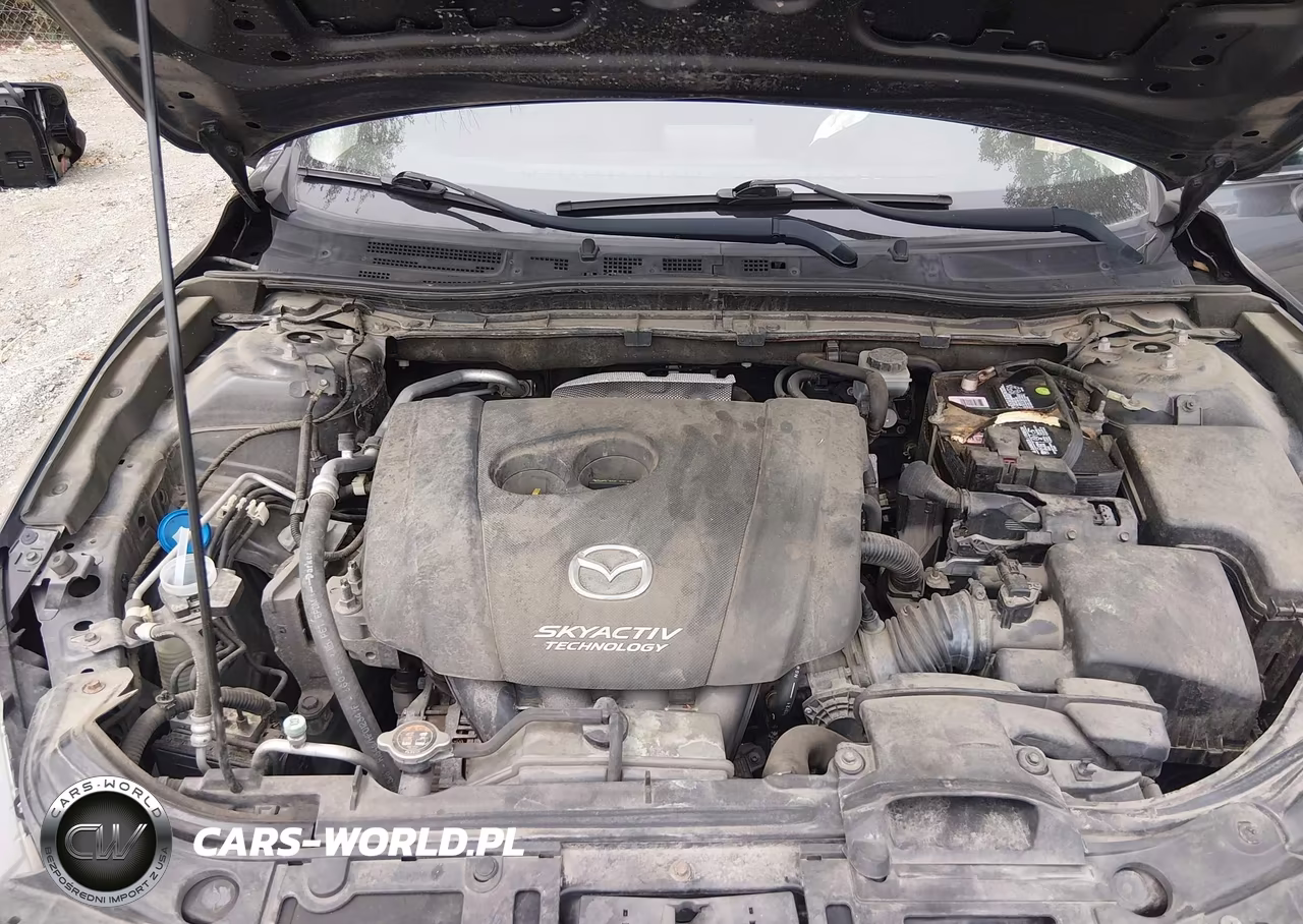 2014 Mazda Mazda3 I Touring VIN:JM1BM1V71E1196265 - 10