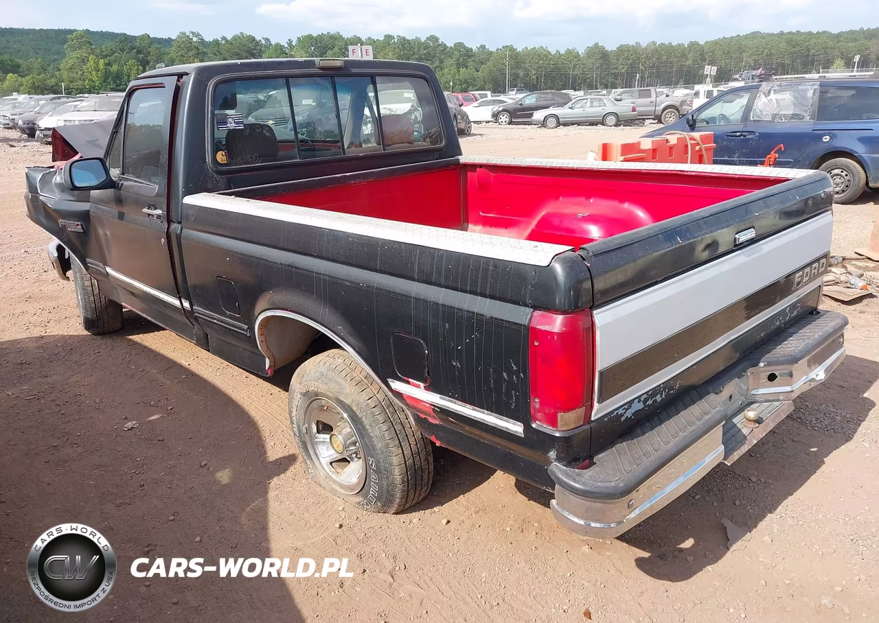 1993 Ford F150 VIN:1FTDF15N0PNA66815 - 3