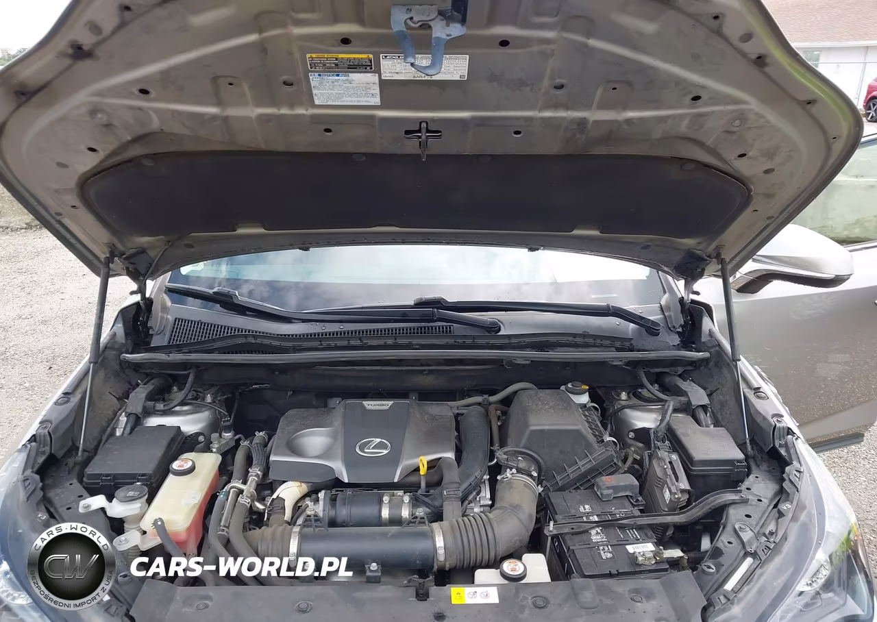 2018 Lexus Nx 300 VIN:JTJYARBZ0J2095260 - 10