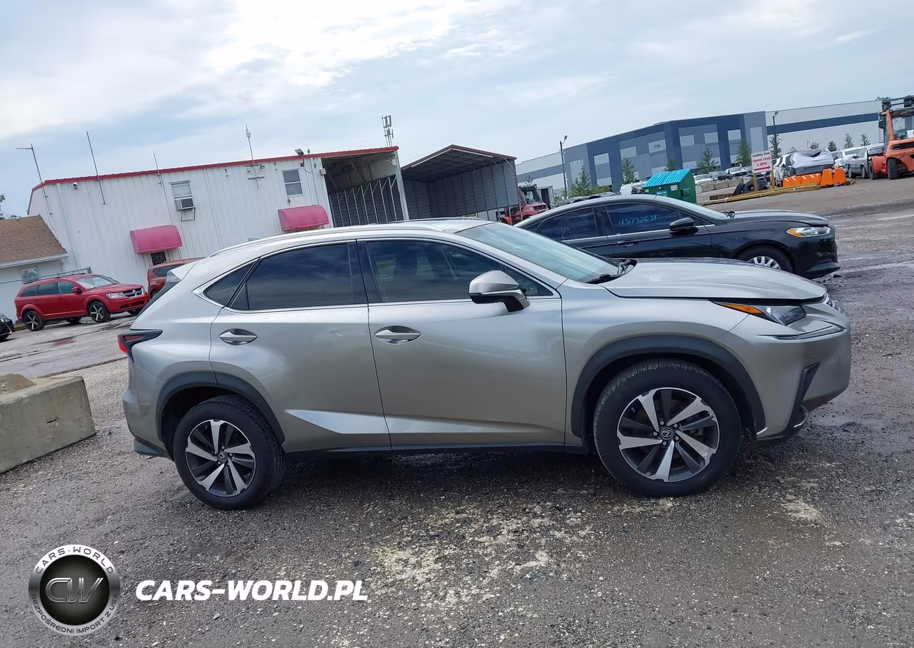 2018 Lexus Nx 300 VIN:JTJYARBZ0J2095260 - 13