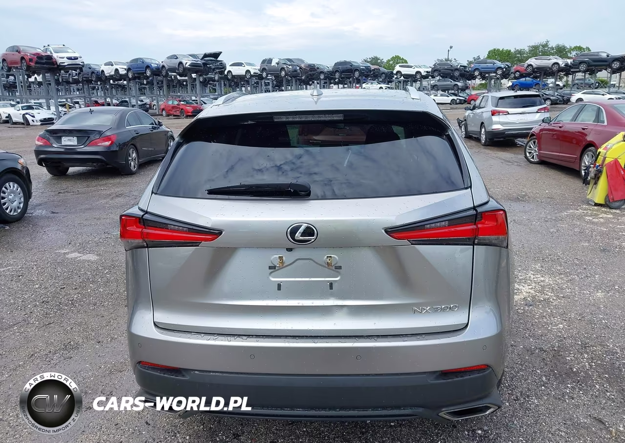 2018 Lexus Nx 300 VIN:JTJYARBZ0J2095260 - 16