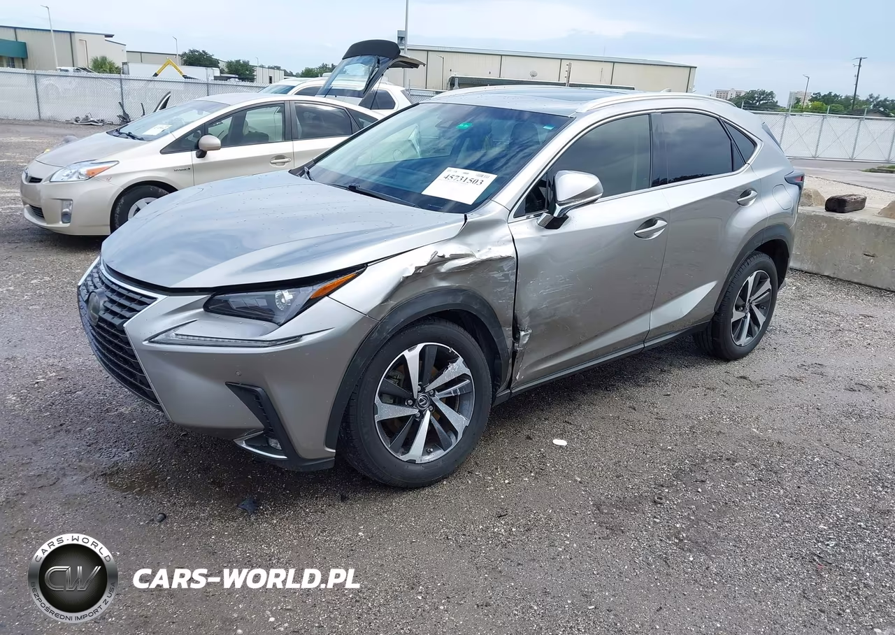 2018 Lexus Nx 300 VIN:JTJYARBZ0J2095260 - 2
