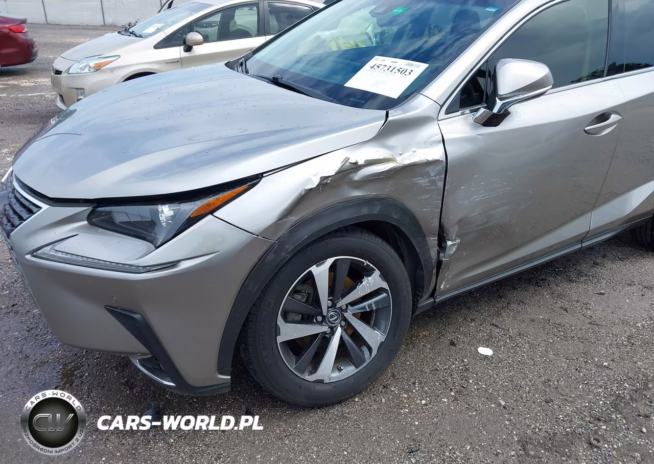 2018 Lexus Nx 300 VIN:JTJYARBZ0J2095260 - 6